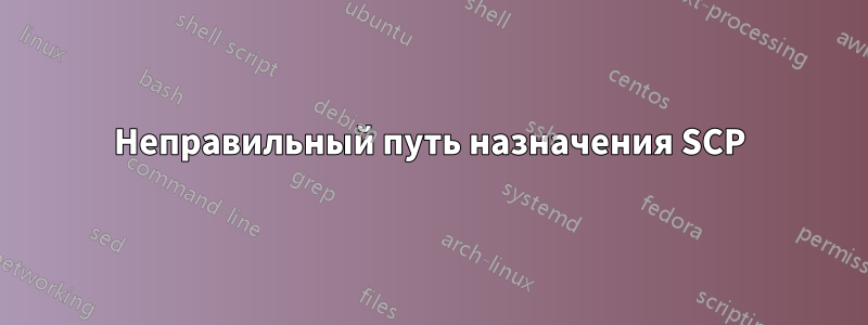 Неправильный путь назначения SCP