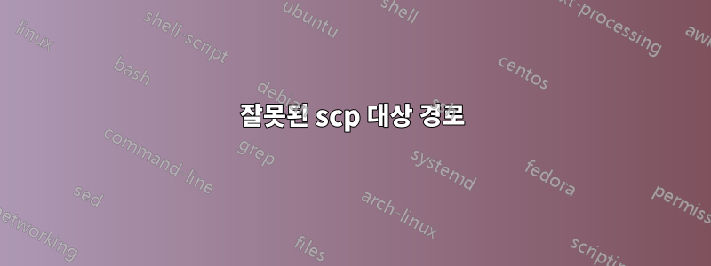 잘못된 scp 대상 경로