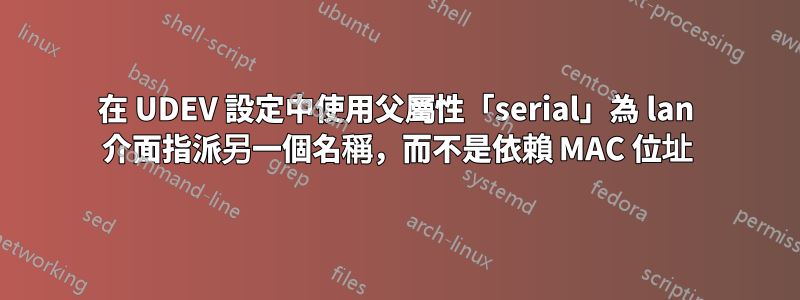 在 UDEV 設定中使用父屬性「serial」為 lan 介面指派另一個名稱，而不是依賴 MAC 位址