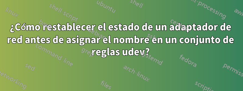 ¿Cómo restablecer el estado de un adaptador de red antes de asignar el nombre en un conjunto de reglas udev?