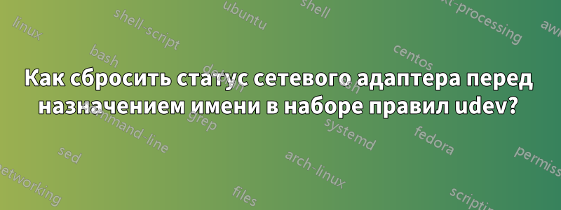 Как сбросить статус сетевого адаптера перед назначением имени в наборе правил udev?