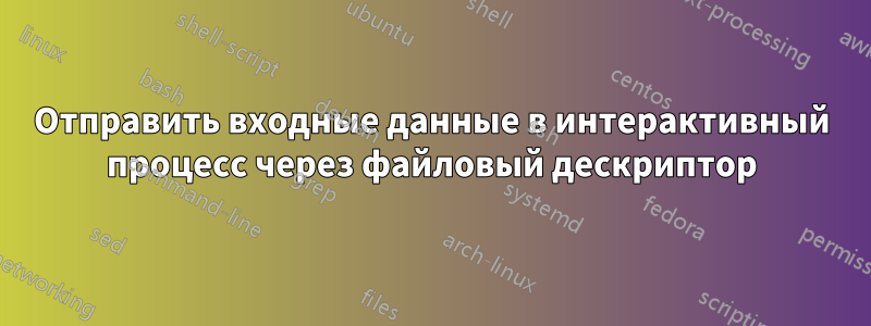 Отправить входные данные в интерактивный процесс через файловый дескриптор