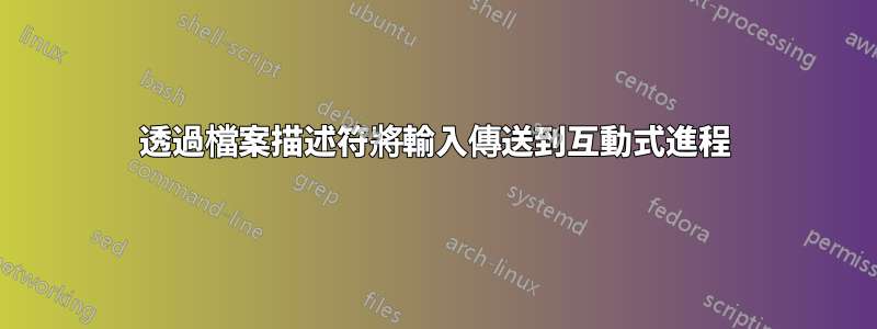 透過檔案描述符將輸入傳送到互動式進程