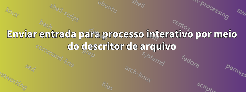 Enviar entrada para processo interativo por meio do descritor de arquivo