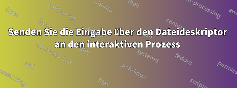 Senden Sie die Eingabe über den Dateideskriptor an den interaktiven Prozess