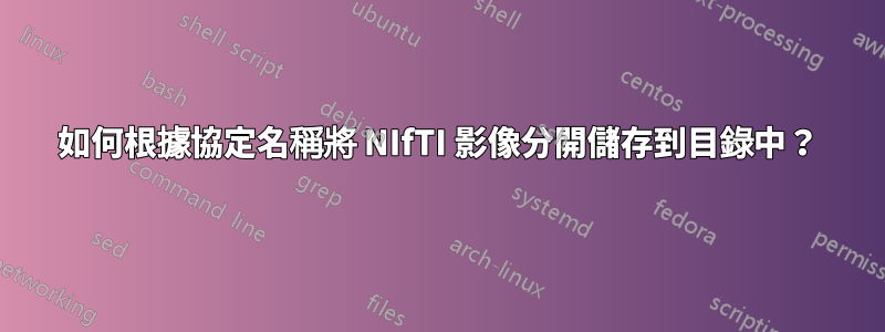 如何根據協定名稱將 NIfTI 影像分開儲存到目錄中？