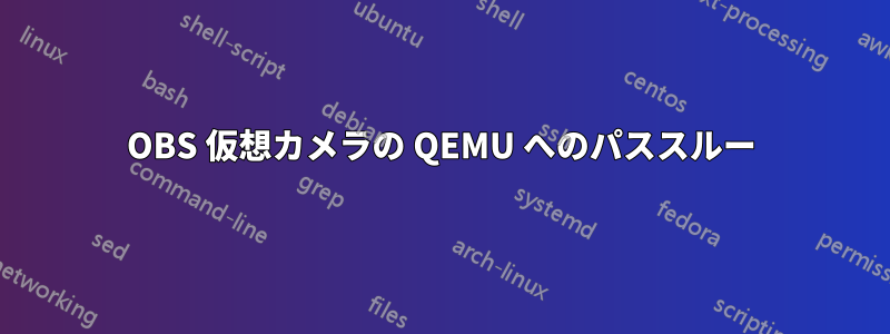 OBS 仮想カメラの QEMU へのパススルー