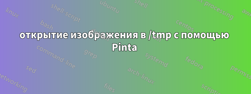 открытие изображения в /tmp с помощью Pinta