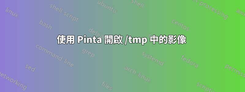 使用 Pinta 開啟 /tmp 中的影像