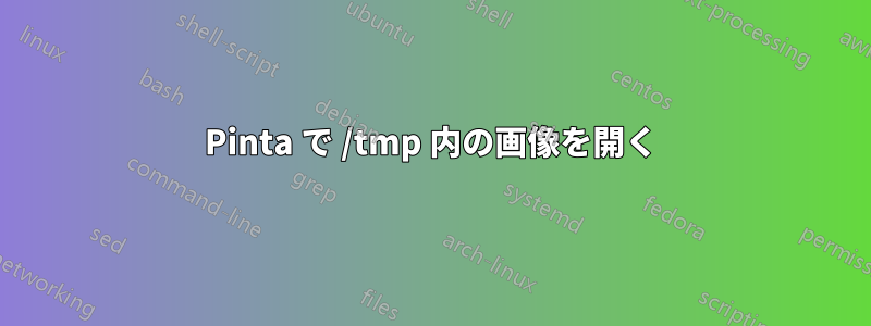 Pinta で /tmp 内の画像を開く