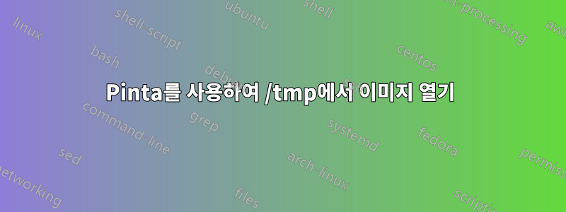 Pinta를 사용하여 /tmp에서 이미지 열기