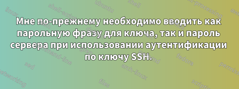 Мне по-прежнему необходимо вводить как парольную фразу для ключа, так и пароль сервера при использовании аутентификации по ключу SSH.