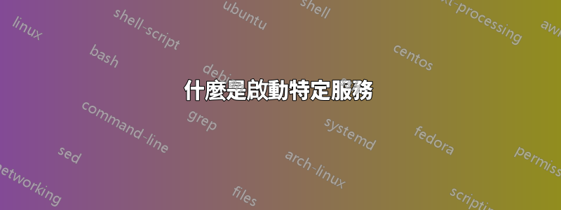 什麼是啟動特定服務