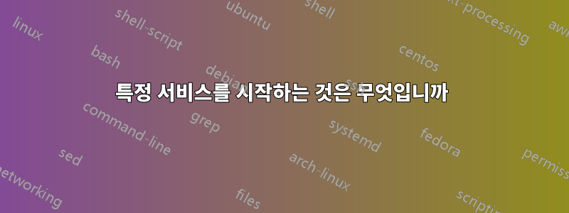 특정 서비스를 시작하는 것은 무엇입니까