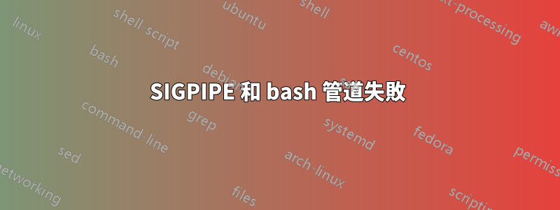 SIGPIPE 和 bash 管道失敗