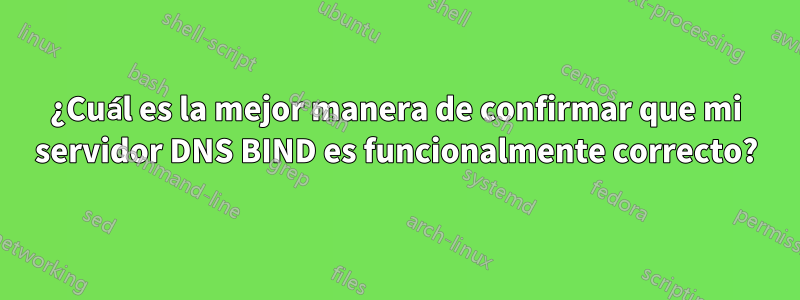 ¿Cuál es la mejor manera de confirmar que mi servidor DNS BIND es funcionalmente correcto?