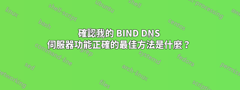 確認我的 BIND DNS 伺服器功能正確的最佳方法是什麼？