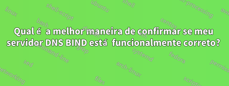 Qual é a melhor maneira de confirmar se meu servidor DNS BIND está funcionalmente correto?