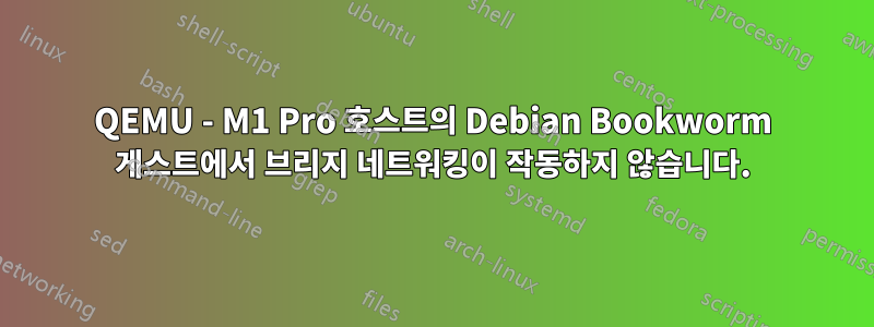 QEMU - M1 Pro 호스트의 Debian Bookworm 게스트에서 브리지 네트워킹이 작동하지 않습니다.