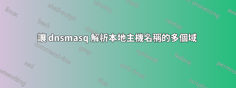 讓 dnsmasq 解析本地主機名稱的多個域