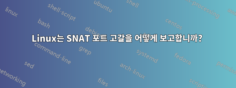 Linux는 SNAT 포트 고갈을 어떻게 보고합니까?