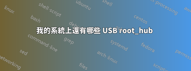 我的系統上還有哪些 USB root_hub