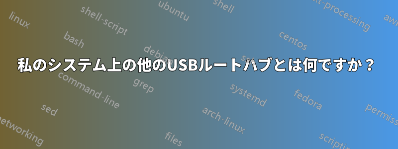 私のシステム上の他のUSBルートハブとは何ですか？