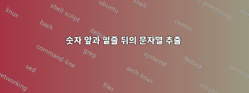 숫자 앞과 밑줄 뒤의 문자열 추출