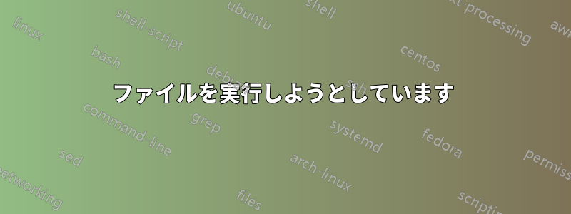 ファイルを実行しようとしています