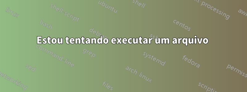 Estou tentando executar um arquivo