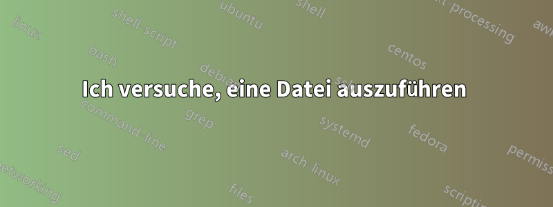 Ich versuche, eine Datei auszuführen