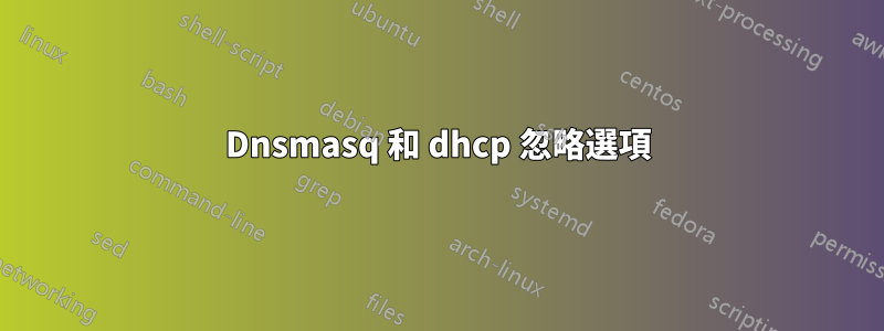 Dnsmasq 和 dhcp 忽略選項