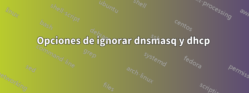 Opciones de ignorar dnsmasq y dhcp