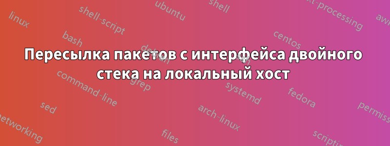 Пересылка пакетов с интерфейса двойного стека на локальный хост