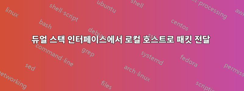 듀얼 스택 인터페이스에서 로컬 호스트로 패킷 전달