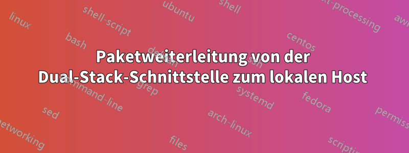 Paketweiterleitung von der Dual-Stack-Schnittstelle zum lokalen Host