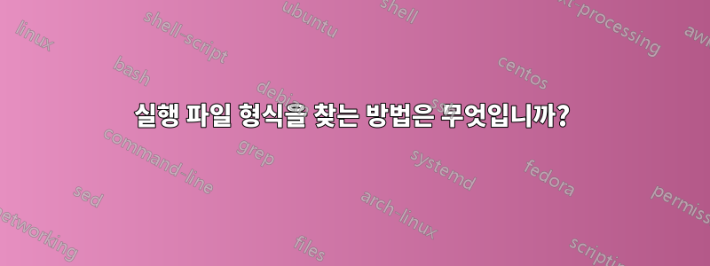 실행 파일 형식을 찾는 방법은 무엇입니까?