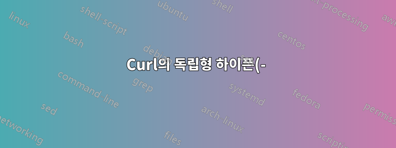 Curl의 독립형 하이픈(-)은 무엇을 의미합니까?