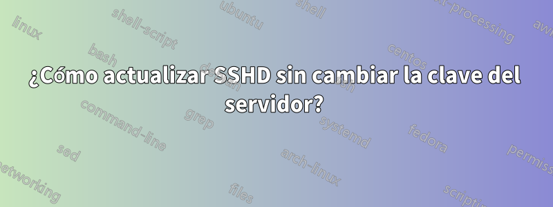 ¿Cómo actualizar SSHD sin cambiar la clave del servidor?