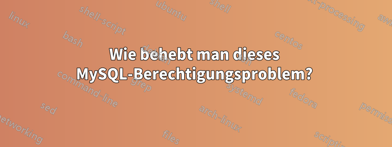 Wie behebt man dieses MySQL-Berechtigungsproblem?