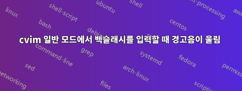 cvim 일반 모드에서 백슬래시를 입력할 때 경고음이 울림