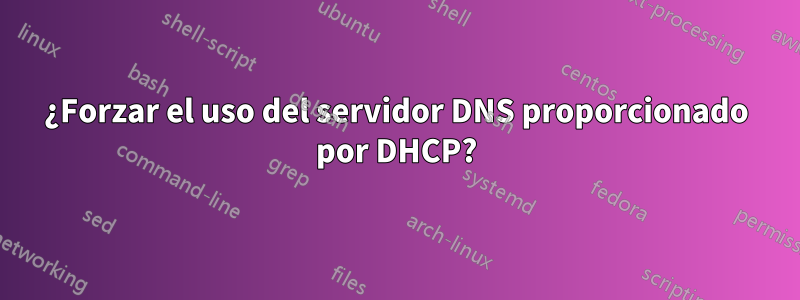 ¿Forzar el uso del servidor DNS proporcionado por DHCP?