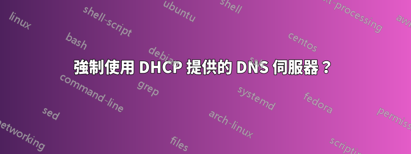 強制使用 DHCP 提供的 DNS 伺服器？