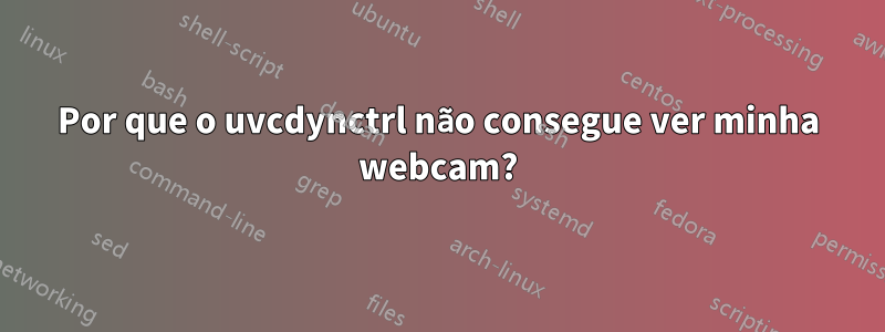 Por que o uvcdynctrl não consegue ver minha webcam?