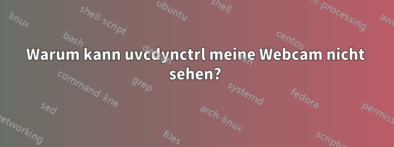 Warum kann uvcdynctrl meine Webcam nicht sehen?