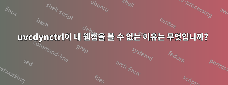 uvcdynctrl이 내 웹캠을 볼 수 없는 이유는 무엇입니까?