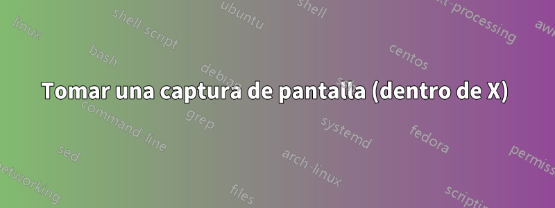 Tomar una captura de pantalla (dentro de X)