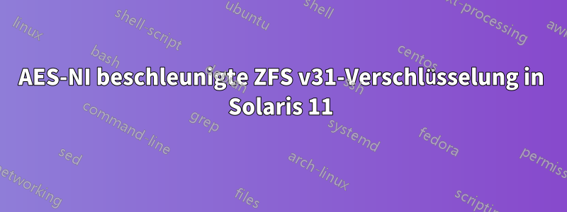 AES-NI beschleunigte ZFS v31-Verschlüsselung in Solaris 11