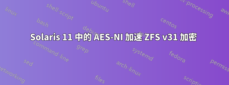 Solaris 11 中的 AES-NI 加速 ZFS v31 加密