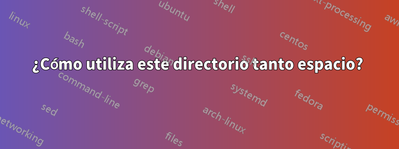 ¿Cómo utiliza este directorio tanto espacio?